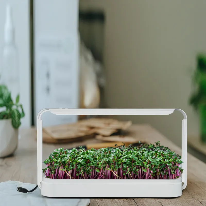 Smart Garden Ideas - Indoor kruiden-tuin kweeklamp kas-set cadeau-ideeën LED