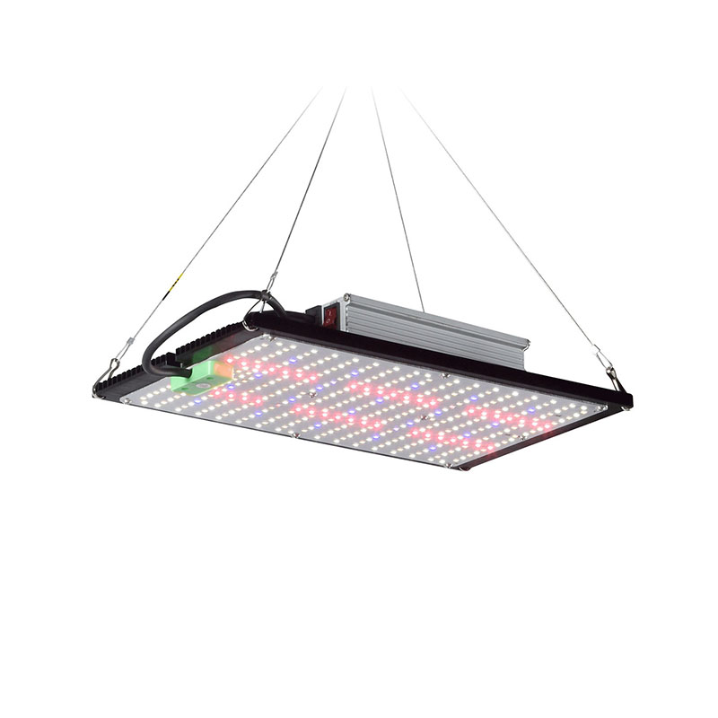 LED Quantum-Board Kweeklamp Vo - Plant Grow Light Full Spectrum recensie en prijs