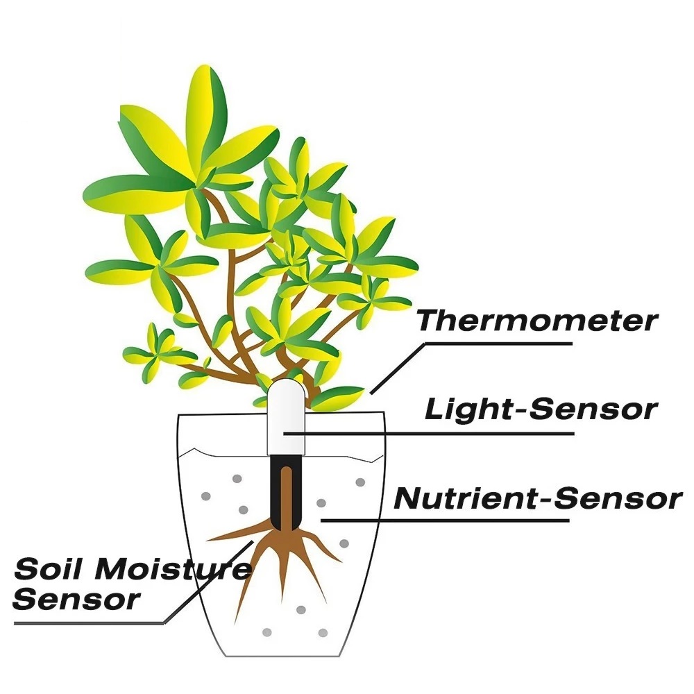 HHCC Bloemenmonitor Flora Tuin - Smart Garden Products recensie en prijs
